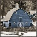 Picture of Blue Barn  _GroupedProduct_Square_Photography _GroupedProduct_Square_Canvas_Framed_