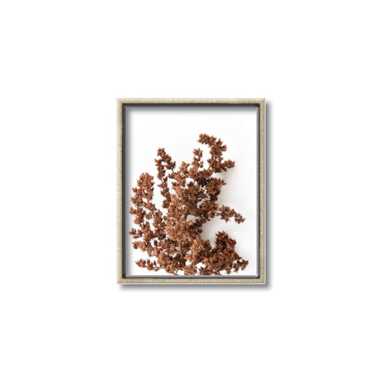 Picture of Brown Fall  _GroupedProduct_Rectangle_Portrait_Photography _GroupedProduct_Rectangle_Portrait_Canvas_Framed_