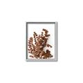 Picture of Brown Fall  _GroupedProduct_Rectangle_Portrait_Photography _GroupedProduct_Rectangle_Portrait_Canvas_Framed_