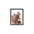 Picture of Brown Fall  _GroupedProduct_Rectangle_Portrait_Photography _GroupedProduct_Rectangle_Portrait_Canvas_Framed_