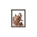 Picture of Brown Fall  _GroupedProduct_Rectangle_Portrait_Photography _GroupedProduct_Rectangle_Portrait_Canvas_Framed_