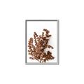 Picture of Brown Fall  _GroupedProduct_Rectangle_Portrait_Photography _GroupedProduct_Rectangle_Portrait_Canvas_Framed_