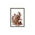 Picture of Brown Fall  _GroupedProduct_Rectangle_Portrait_Photography _GroupedProduct_Rectangle_Portrait_Canvas_Framed_