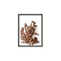Picture of Brown Fall  _GroupedProduct_Rectangle_Portrait_Photography _GroupedProduct_Rectangle_Portrait_Canvas_Framed_