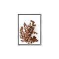 Picture of Brown Fall  _GroupedProduct_Rectangle_Portrait_Photography _GroupedProduct_Rectangle_Portrait_Canvas_Framed_