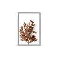 Picture of Brown Fall  _GroupedProduct_Rectangle_Portrait_Photography _GroupedProduct_Rectangle_Portrait_Canvas_Framed_