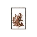 Picture of Brown Fall  _GroupedProduct_Rectangle_Portrait_Photography _GroupedProduct_Rectangle_Portrait_Canvas_Framed_