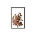 Picture of Brown Fall  _GroupedProduct_Rectangle_Portrait_Photography _GroupedProduct_Rectangle_Portrait_Canvas_Framed_