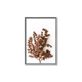 Picture of Brown Fall  _GroupedProduct_Rectangle_Portrait_Photography _GroupedProduct_Rectangle_Portrait_Canvas_Framed_