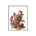 Picture of Brown Fall  _GroupedProduct_Rectangle_Portrait_Photography _GroupedProduct_Rectangle_Portrait_Canvas_Framed_