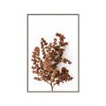 Picture of Brown Fall  _GroupedProduct_Rectangle_Portrait_Photography _GroupedProduct_Rectangle_Portrait_Canvas_Framed_