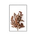 Picture of Brown Fall  _GroupedProduct_Rectangle_Portrait_Photography _GroupedProduct_Rectangle_Portrait_Canvas_Framed_