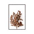 Picture of Brown Fall  _GroupedProduct_Rectangle_Portrait_Photography _GroupedProduct_Rectangle_Portrait_Canvas_Framed_