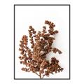 Picture of Brown Fall  _GroupedProduct_Rectangle_Portrait_Photography _GroupedProduct_Rectangle_Portrait_Canvas_Framed_