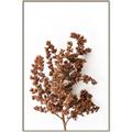 Picture of Brown Fall  _GroupedProduct_Rectangle_Portrait_Photography _GroupedProduct_Rectangle_Portrait_Canvas_Framed_