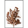 Picture of Brown Fall  _GroupedProduct_Rectangle_Portrait_Photography _GroupedProduct_Rectangle_Portrait_Canvas_Framed_