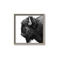Picture of Buffalo Head _GroupedProduct_Square_Photography _GroupedProduct_Square_Canvas_Framed_