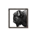 Picture of Buffalo Head _GroupedProduct_Square_Photography _GroupedProduct_Square_Canvas_Framed_
