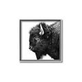 Picture of Buffalo Head _GroupedProduct_Square_Photography _GroupedProduct_Square_Canvas_Framed_