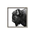 Picture of Buffalo Head _GroupedProduct_Square_Photography _GroupedProduct_Square_Canvas_Framed_