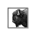 Picture of Buffalo Head _GroupedProduct_Square_Photography _GroupedProduct_Square_Canvas_Framed_