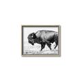 Picture of Buffalo March _GroupedProduct_Rectangle_Landscape_Photography _GroupedProduct_Rectangle_Landscape_Canvas_Framed_
