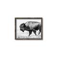 Picture of Buffalo March _GroupedProduct_Rectangle_Landscape_Photography _GroupedProduct_Rectangle_Landscape_Canvas_Framed_
