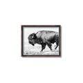 Picture of Buffalo March _GroupedProduct_Rectangle_Landscape_Photography _GroupedProduct_Rectangle_Landscape_Canvas_Framed_
