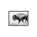 Picture of Buffalo March _GroupedProduct_Rectangle_Landscape_Photography _GroupedProduct_Rectangle_Landscape_Canvas_Framed_