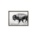 Picture of Buffalo March _GroupedProduct_Rectangle_Landscape_Photography _GroupedProduct_Rectangle_Landscape_Canvas_Framed_