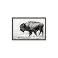 Picture of Buffalo March _GroupedProduct_Rectangle_Landscape_Photography _GroupedProduct_Rectangle_Landscape_Canvas_Framed_