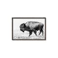 Picture of Buffalo March _GroupedProduct_Rectangle_Landscape_Photography _GroupedProduct_Rectangle_Landscape_Canvas_Framed_