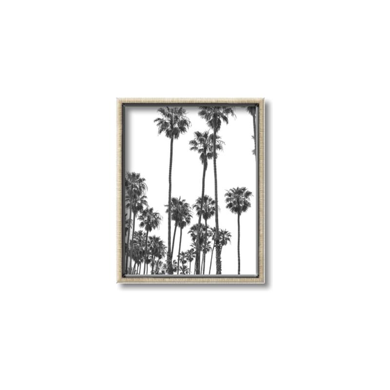 Picture of California Palms _GroupedProduct_Rectangle_Portrait_Photography _GroupedProduct_Rectangle_Portrait_Canvas_Framed_