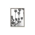 Picture of California Palms _GroupedProduct_Rectangle_Portrait_Photography _GroupedProduct_Rectangle_Portrait_Canvas_Framed_