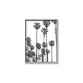 Picture of California Palms _GroupedProduct_Rectangle_Portrait_Photography _GroupedProduct_Rectangle_Portrait_Canvas_Framed_
