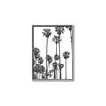 Picture of California Palms _GroupedProduct_Rectangle_Portrait_Photography _GroupedProduct_Rectangle_Portrait_Canvas_Framed_