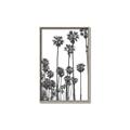 Picture of California Palms _GroupedProduct_Rectangle_Portrait_Photography _GroupedProduct_Rectangle_Portrait_Canvas_Framed_
