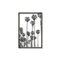 Picture of California Palms _GroupedProduct_Rectangle_Portrait_Photography _GroupedProduct_Rectangle_Portrait_Canvas_Framed_