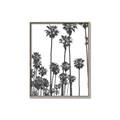 Picture of California Palms _GroupedProduct_Rectangle_Portrait_Photography _GroupedProduct_Rectangle_Portrait_Canvas_Framed_