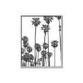 Picture of California Palms _GroupedProduct_Rectangle_Portrait_Photography _GroupedProduct_Rectangle_Portrait_Canvas_Framed_