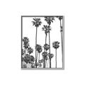 Picture of California Palms _GroupedProduct_Rectangle_Portrait_Photography _GroupedProduct_Rectangle_Portrait_Canvas_Framed_