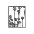 Picture of California Palms _GroupedProduct_Rectangle_Portrait_Photography _GroupedProduct_Rectangle_Portrait_Canvas_Framed_
