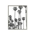 Picture of California Palms _GroupedProduct_Rectangle_Portrait_Photography _GroupedProduct_Rectangle_Portrait_Canvas_Framed_