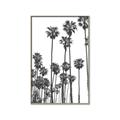 Picture of California Palms _GroupedProduct_Rectangle_Portrait_Photography _GroupedProduct_Rectangle_Portrait_Canvas_Framed_