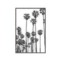Picture of California Palms _GroupedProduct_Rectangle_Portrait_Photography _GroupedProduct_Rectangle_Portrait_Canvas_Framed_
