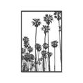 Picture of California Palms _GroupedProduct_Rectangle_Portrait_Photography _GroupedProduct_Rectangle_Portrait_Canvas_Framed_