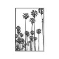 Picture of California Palms _GroupedProduct_Rectangle_Portrait_Photography _GroupedProduct_Rectangle_Portrait_Canvas_Framed_