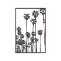 Picture of California Palms _GroupedProduct_Rectangle_Portrait_Photography _GroupedProduct_Rectangle_Portrait_Canvas_Framed_