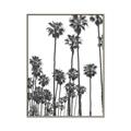 Picture of California Palms _GroupedProduct_Rectangle_Portrait_Photography _GroupedProduct_Rectangle_Portrait_Canvas_Framed_