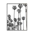 Picture of California Palms _GroupedProduct_Rectangle_Portrait_Photography _GroupedProduct_Rectangle_Portrait_Canvas_Framed_